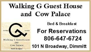 Walking G Guest House - Bed and Breakfast in Dimmitt