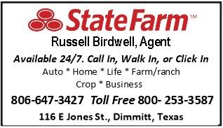 State Farm Russell Birdwell