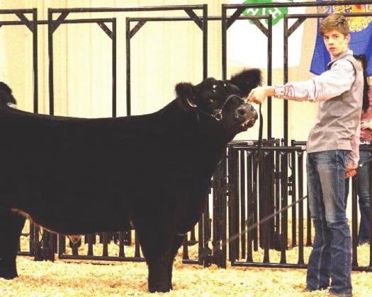 Payton Durbin – Reserve Champion Steer, Cattle Showmanship, Senior