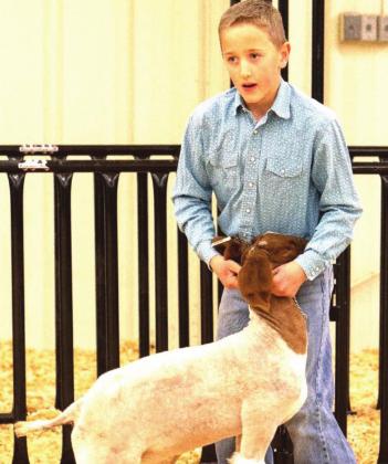 Sy Welps – Reserve Champion Goat