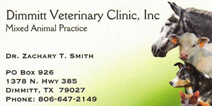 Pet Talk