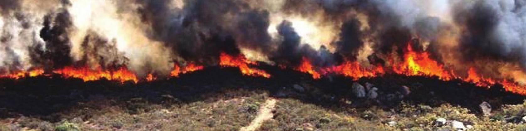 Wildfire danger increases