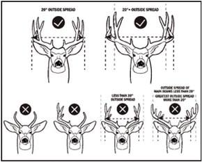 New mule deer restrictions added