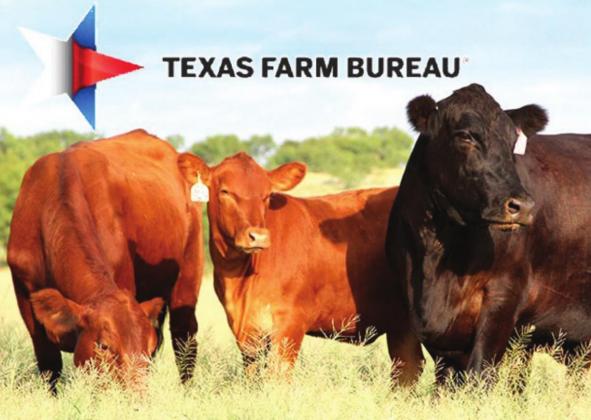 Livestock issues top concerns at AFBF policy meeting