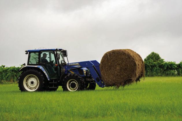 A bumper hay crop is starting to dwindle as supplies are being used in the wake of dry weather. (Sam Craft/Texas A&amp;amp;M AgriLife)