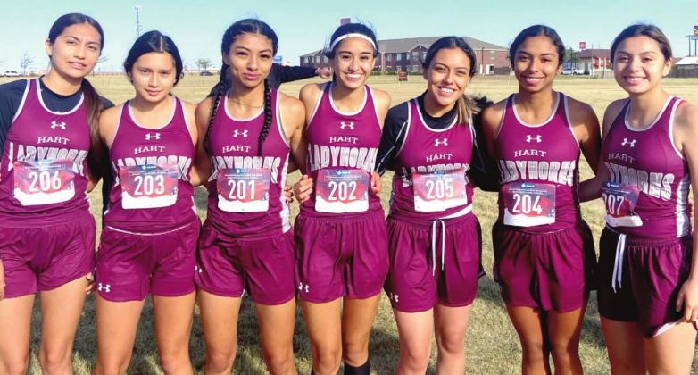 Hart High School varsity XC girls qualified for regionals with a team placing of second.