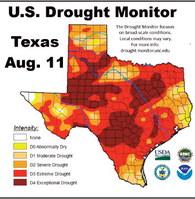 Drought persists in South Plains, Panhandle region