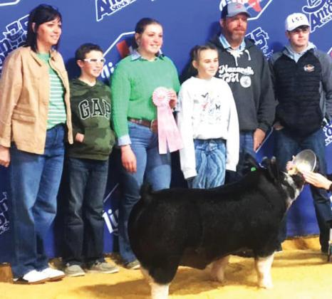 Nazareth FFA Autumn Birkenfeld competed and placed 4th and made the sale with her Berkshire at the San Antonio Livestock Show.