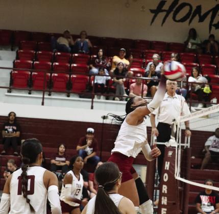 Michelle Mott spikes the ball