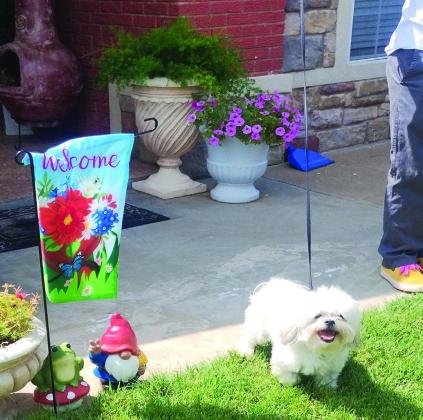 Pet Pic of the Week