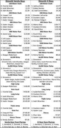 Dimmit Results at Relays