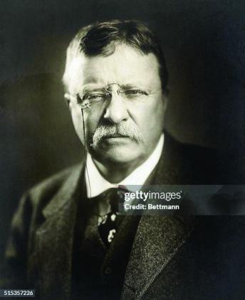 Bully for Colonel Teddy! We need his conservation vision