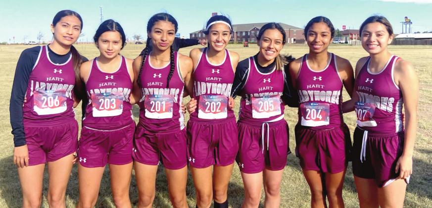 Hart High School varsity XC girls qualified for regionals with a District placing of 2nd and at Regionals, they placed 15th.