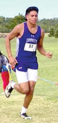 DHS XC varsity Ryan Nino placed 6th at the District meet and 87th at Regionals.