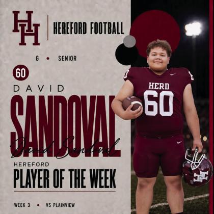 HERD PLAYERS OF THE GAME