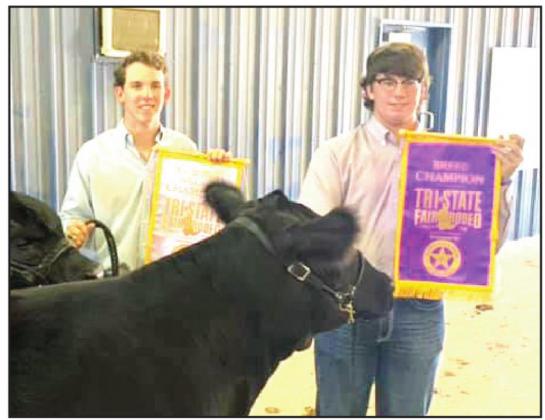Nazareth FFA Landry Kleman won the Limousin Reserve Champion heifer title at the Tri-State Fair.