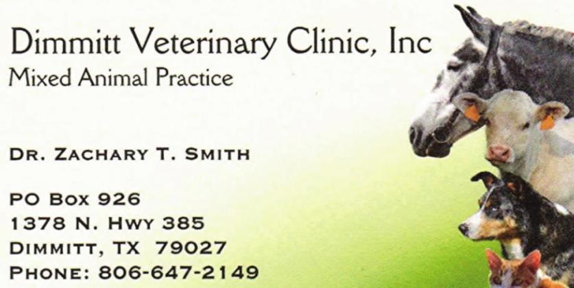Pet Talk