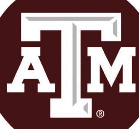 Texas A&M investigating ‘large scale’ cheating