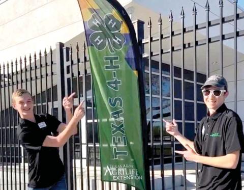 Area 4-H: Star & STEM
