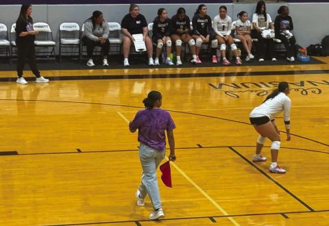 The Vega Lady Longhorns knocked off the Dimmitt Bobcats 25-16, 25-14, 25-10 Saturday at home. With the loss, Dimmitt drops to 0-2 on the season. The Bobcats host West Texas in a non-district bout today.