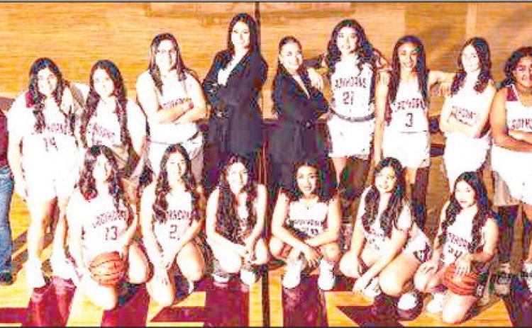 The Hart Ladyhorns(11-11, 2-4), faced Texline in the Bi-District playoffs on Monday, losing that round 71-33, ending their playoff run and basketball season.