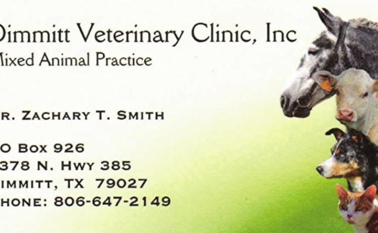 Pet Talk