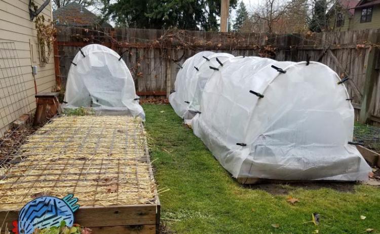 Tips for fall vegetable gardening