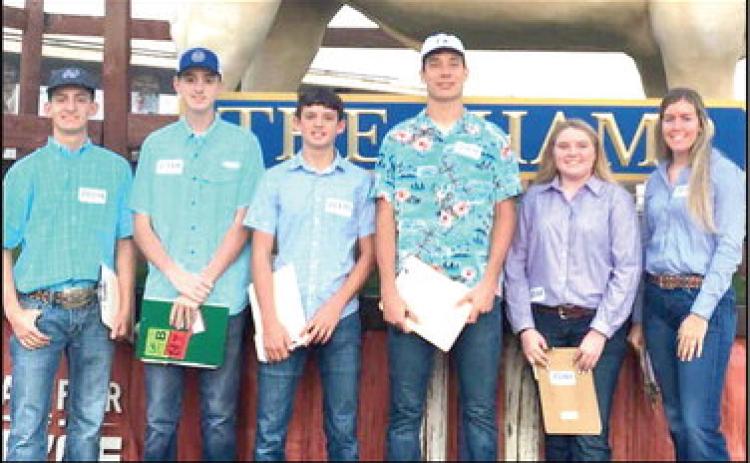 The Nazareth Dairy Cattle Judging team competed at the State Fair of Texas in the first contest of the year. The team placed seventh overall. Team members include Jett Ramaekers, Zach Huseman, Daniel Schacher, Brett Heitschmidt, Alishia Osterkamp and Iris Schilderink.