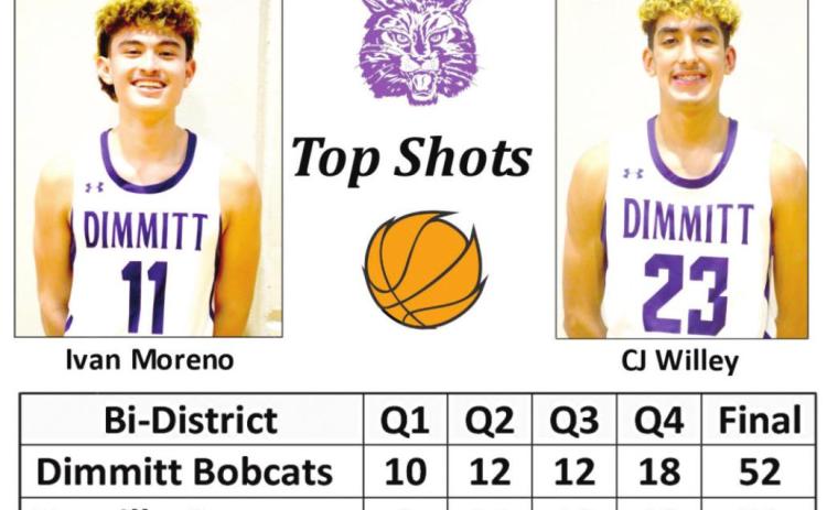 Bobcats snag Bi-District title