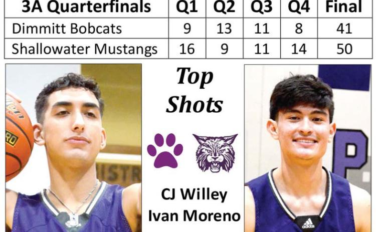 Bobcats fall in quarterfi nals
