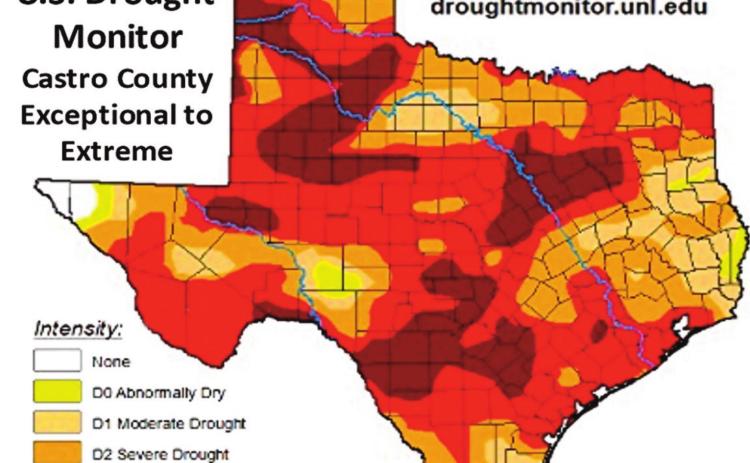 Drought conditions