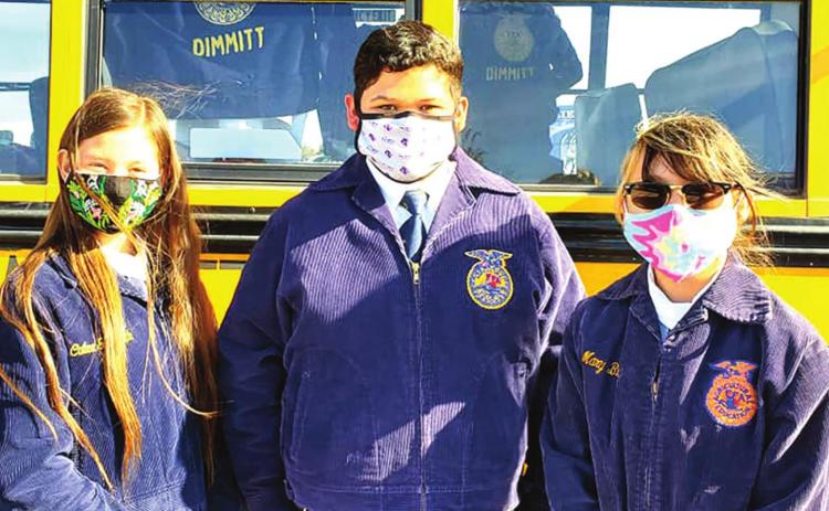 Dimmitt FFA updates