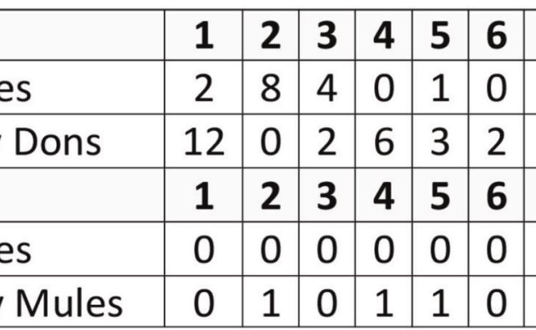 Bobbies lose to Lady Dons