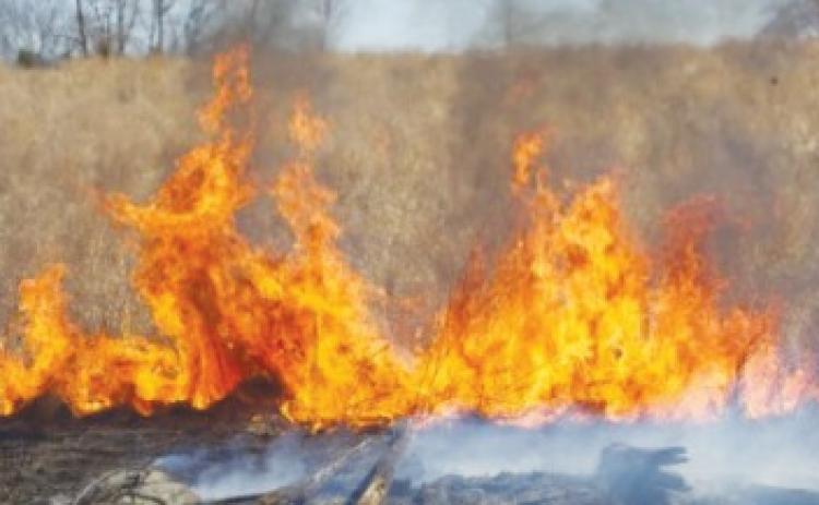 Applications for Wildfire  Defense Grant now open