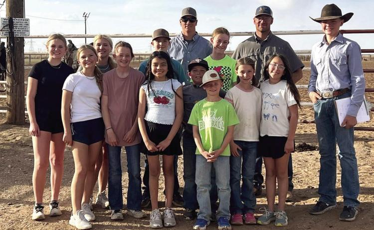 HORSE JUDGING TIPS
