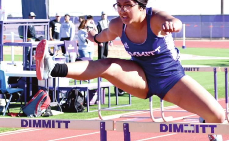 Dimmit Track & Field