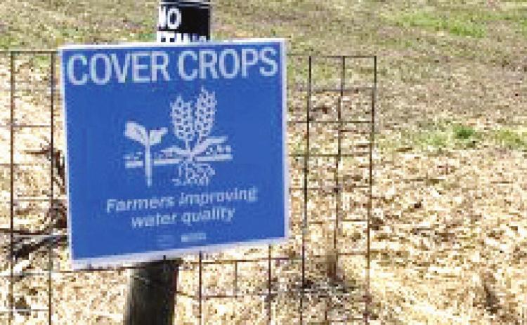Farmers eligible for premium benefit on cover crops