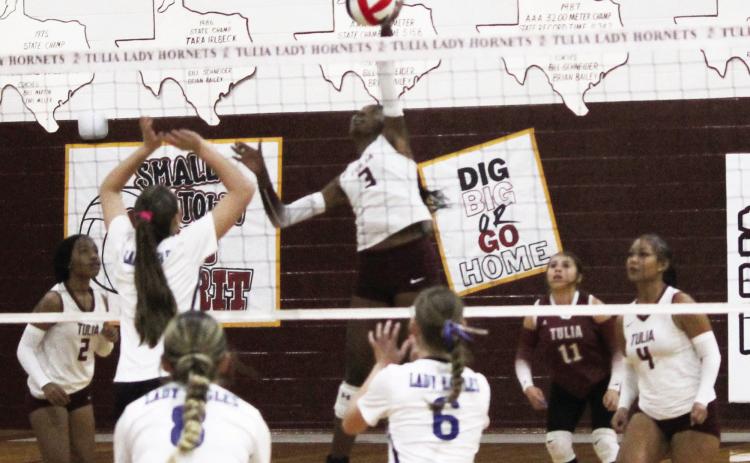 Curslynn Shivers gets the hit over the net
