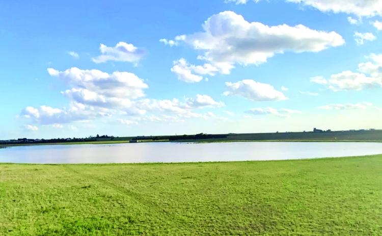 CLEAR DRAINAGE--With a good grassland buffer in place, playas like this one surrounded by native grasses receive 'polished' water vital for recharging the Ogallala aquifer.