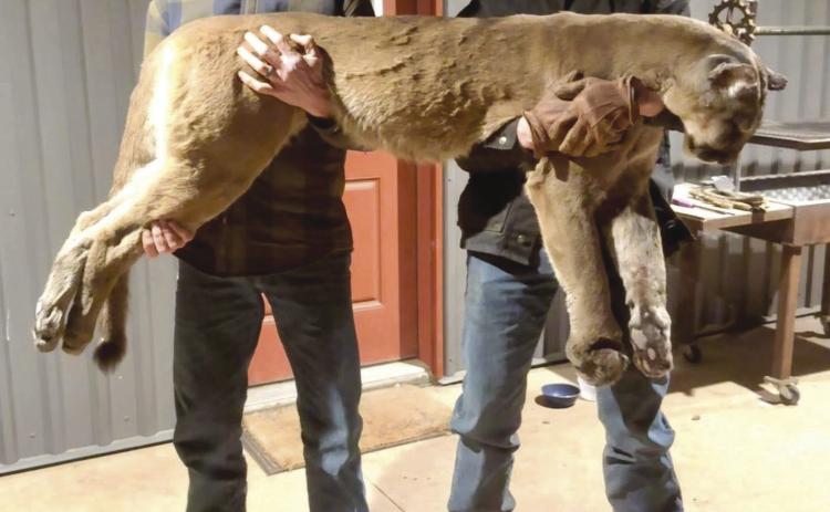 Above (from left) Billy and Eastin Goodpasture (Courtesy Photos)