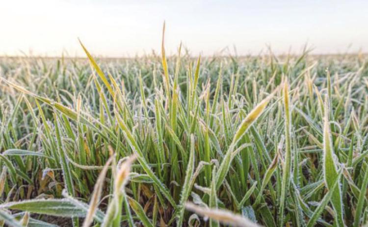 CRP program grows by 2.5M acres