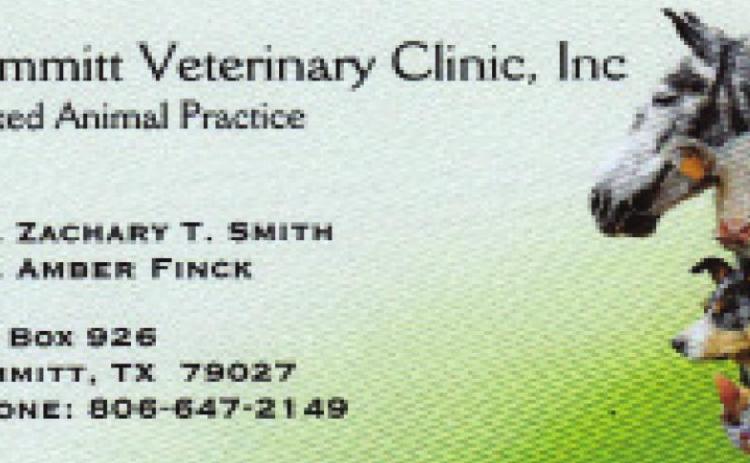 Pet Talk