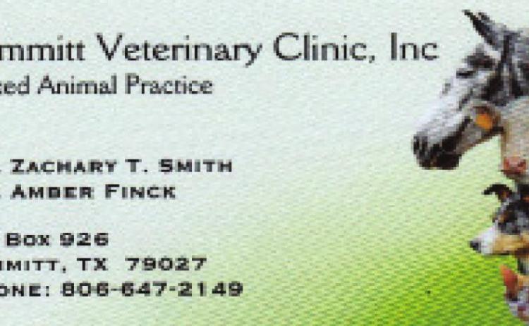 Pet Talk