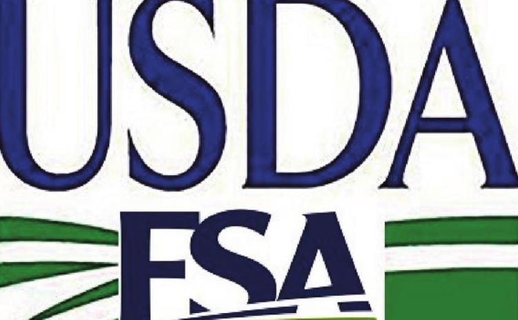 USDA updates CFAP2 for producers