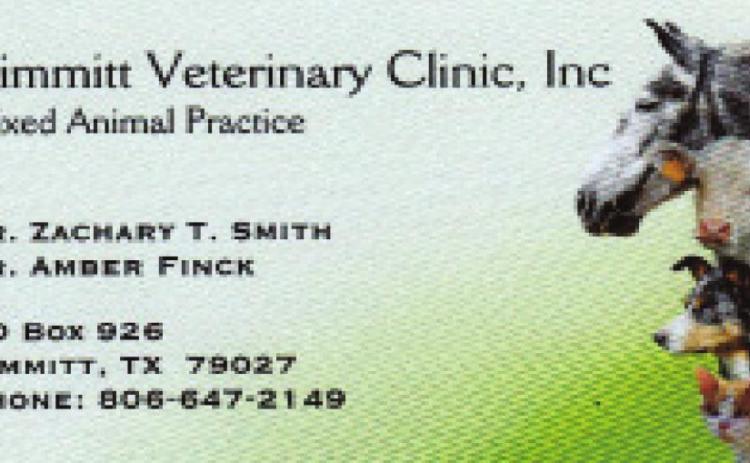 Pet Talk