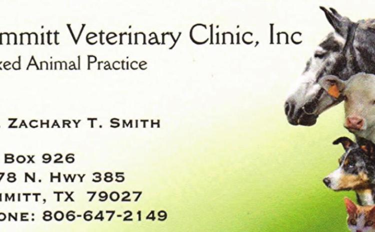 Pet Talk