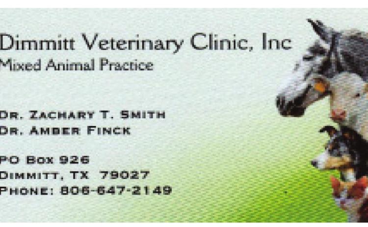 Pet Talk