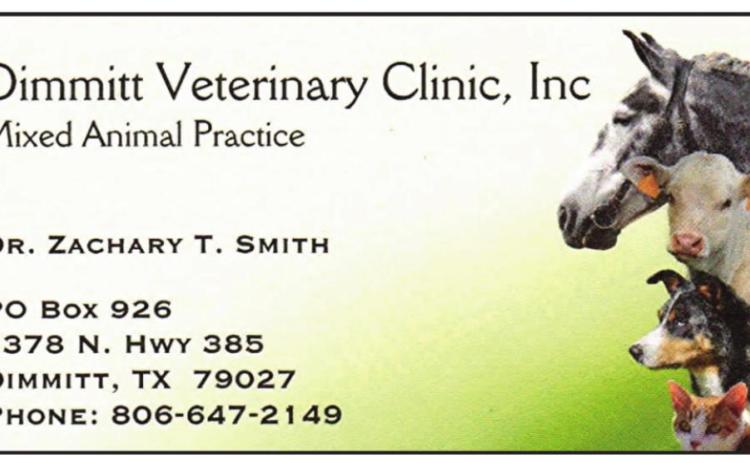 Pet Talk