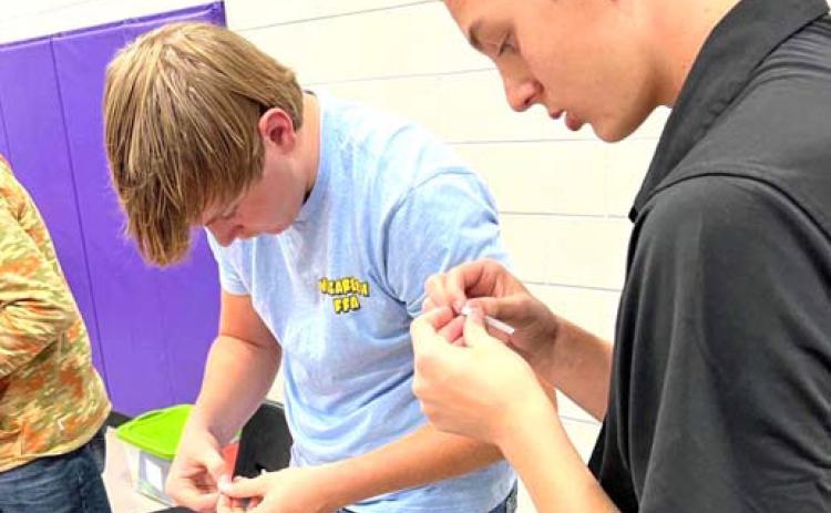 Acker highlighted as STEM Ambassador