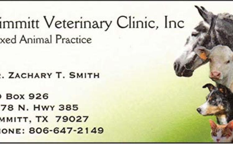 Pet Talk